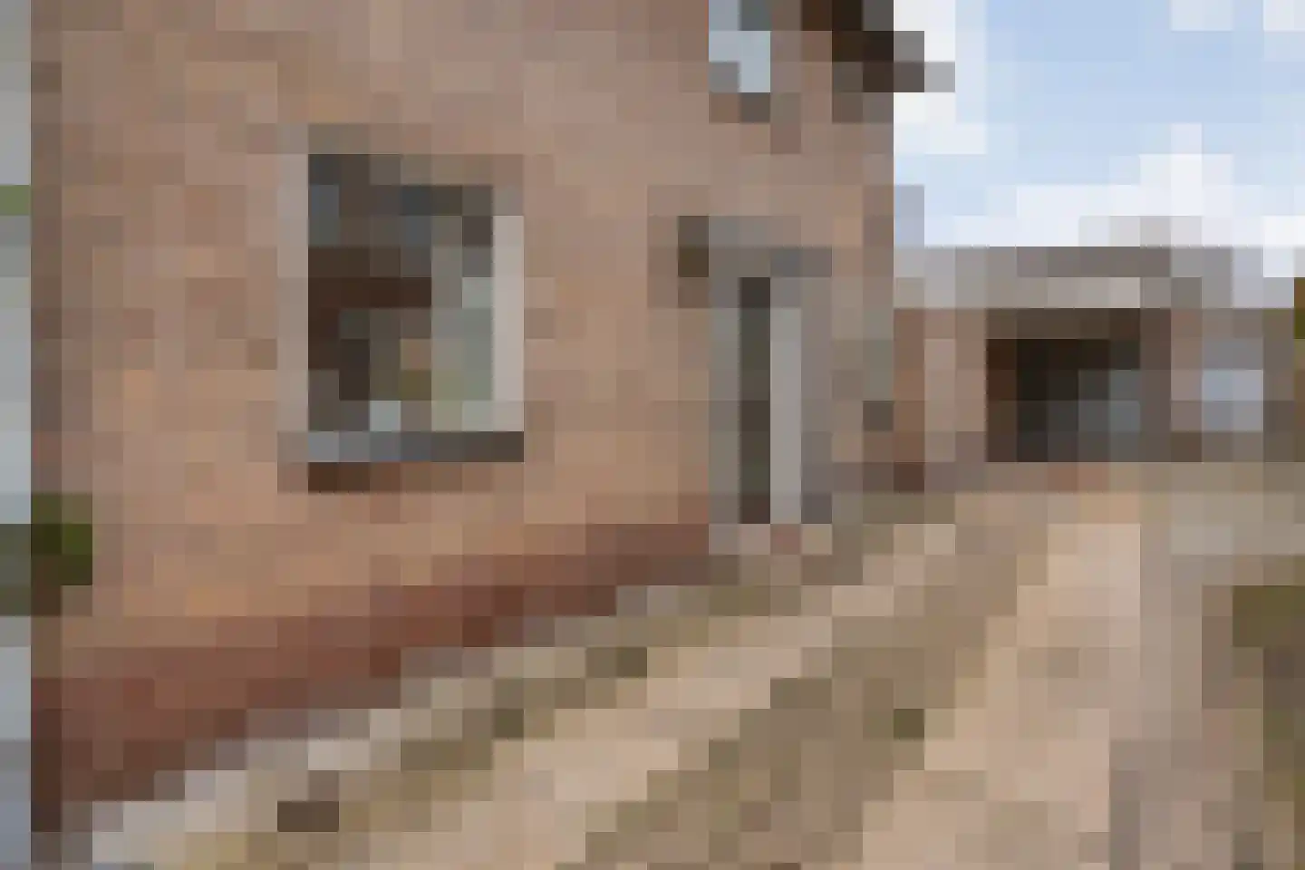 Kampstraat 8 Beilen thumbnail 4