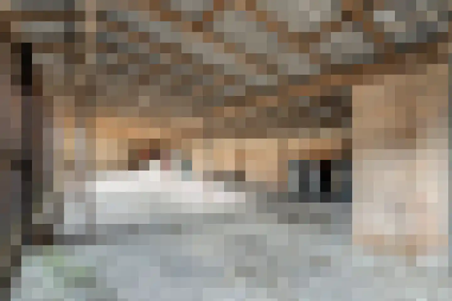Kampstraat 8 Beilen thumbnail 42