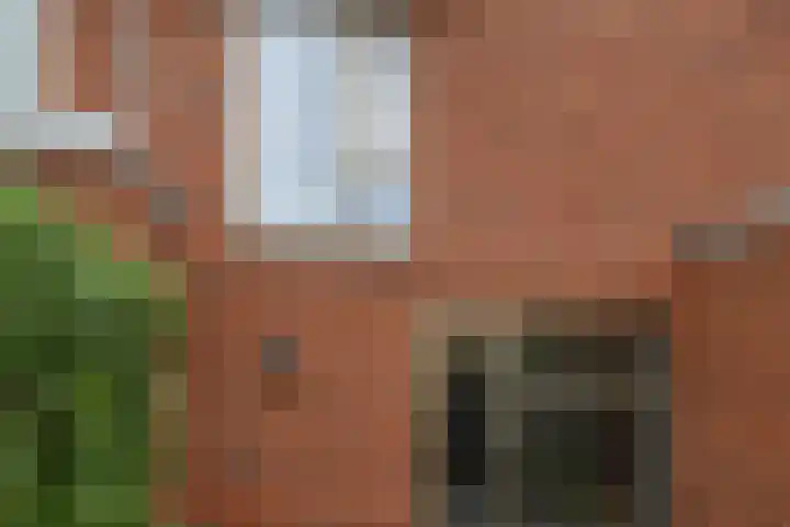 Kampstraat 8 Beilen thumbnail 44