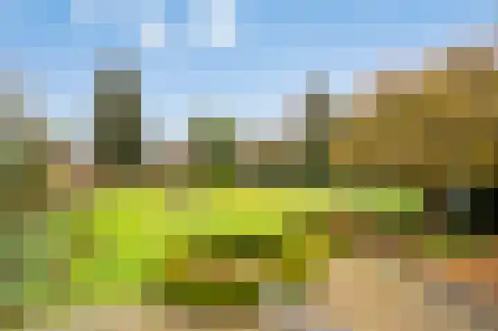 Kampstraat 9 Susteren thumbnail 4