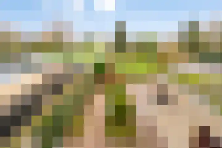 Kampstraat 9 Susteren thumbnail 5