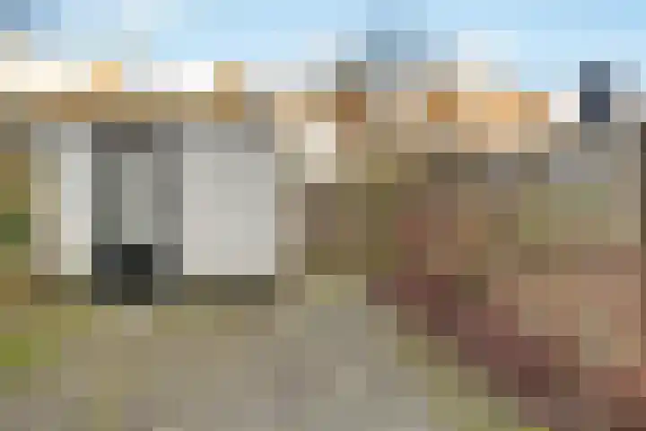 Kampwal 26 Emmeloord thumbnail 31