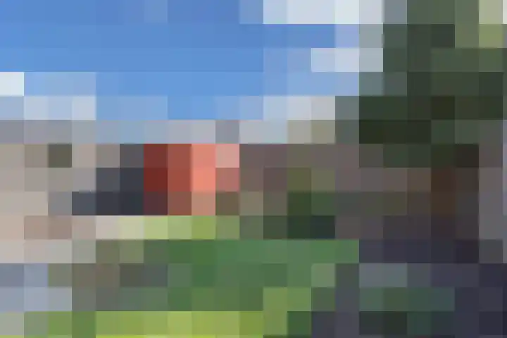 Kampwal 26 Emmeloord thumbnail 38