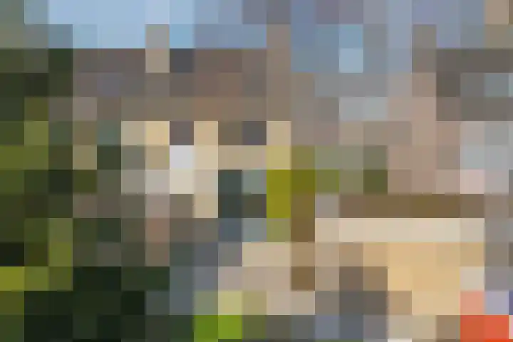 Kampwal 26 Emmeloord thumbnail 42