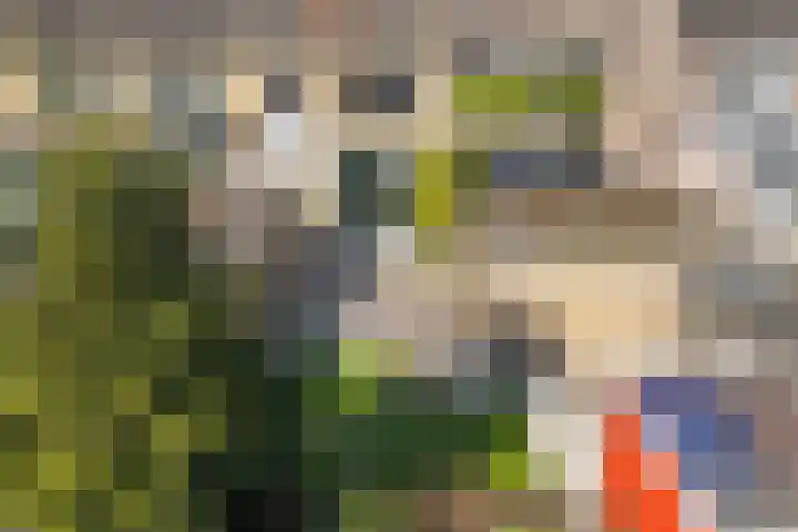 Kampwal 26 Emmeloord thumbnail 43