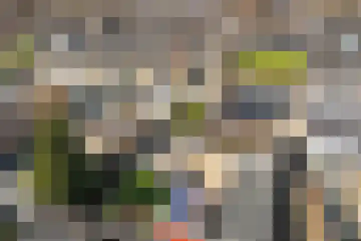 Kampwal 26 Emmeloord thumbnail 44
