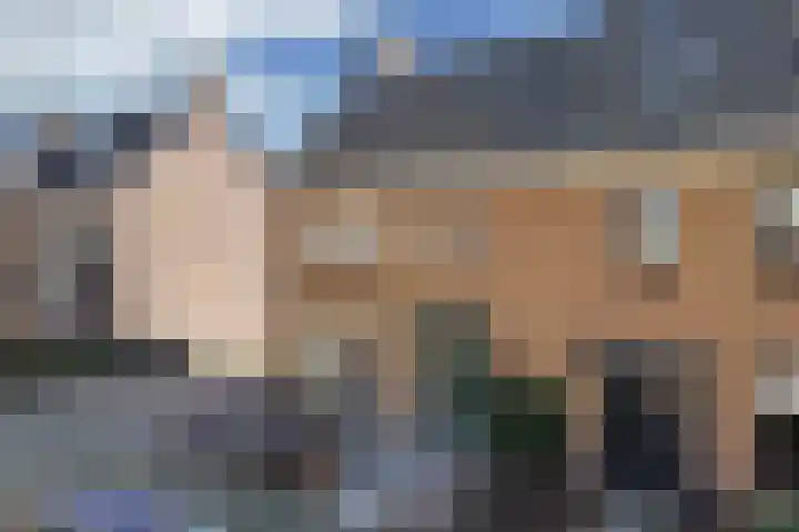 Kampwal 26 Emmeloord thumbnail 9