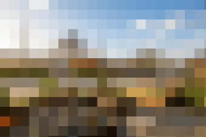 Kampwal 49 Emmeloord thumbnail 32