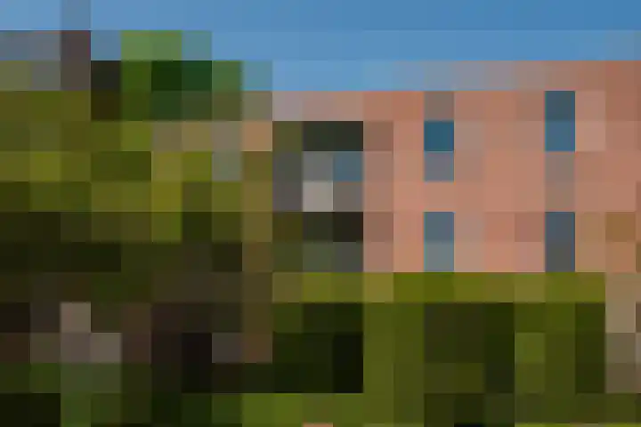 Kampwal 49 Emmeloord thumbnail 32