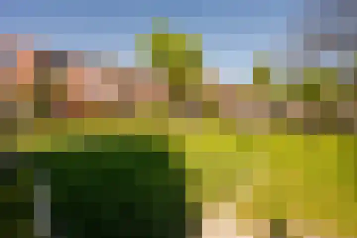 Kampwal 49 Emmeloord thumbnail 33