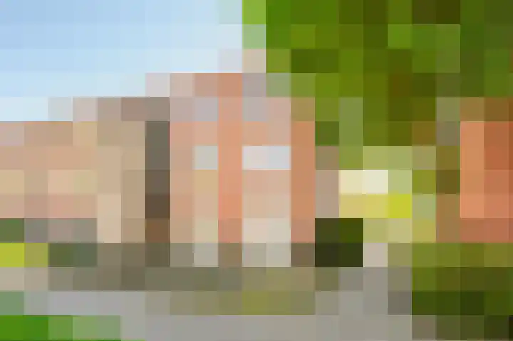 Kampwal 49 Emmeloord thumbnail 37