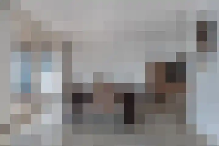 Kampwal 81 Emmeloord thumbnail 10