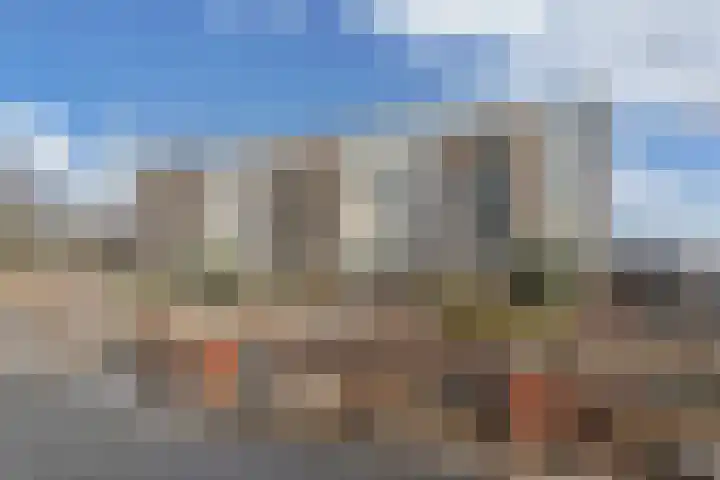 Kampwal 81 Emmeloord thumbnail 38