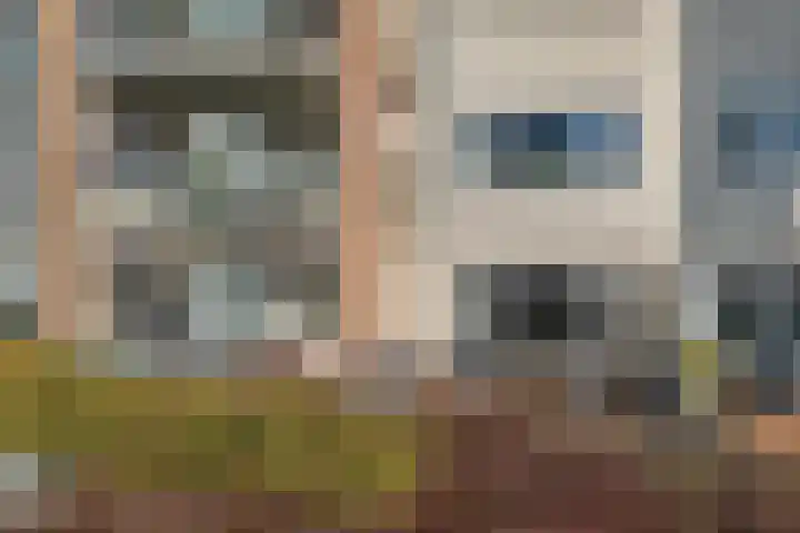 Kampwal 81 Emmeloord thumbnail 5