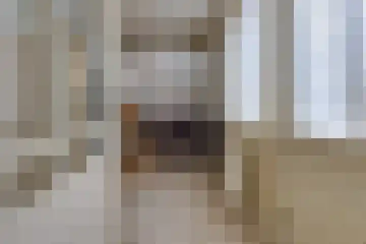 Kampweg 1 Sellingen thumbnail 17