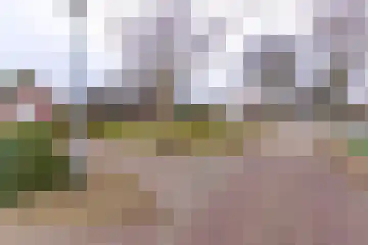 Kampweg 1 Sellingen thumbnail 4