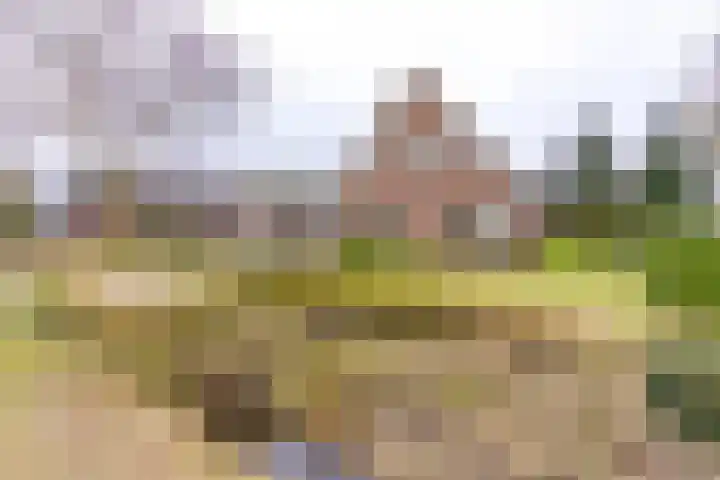 Kampweg 1 Sellingen thumbnail 5