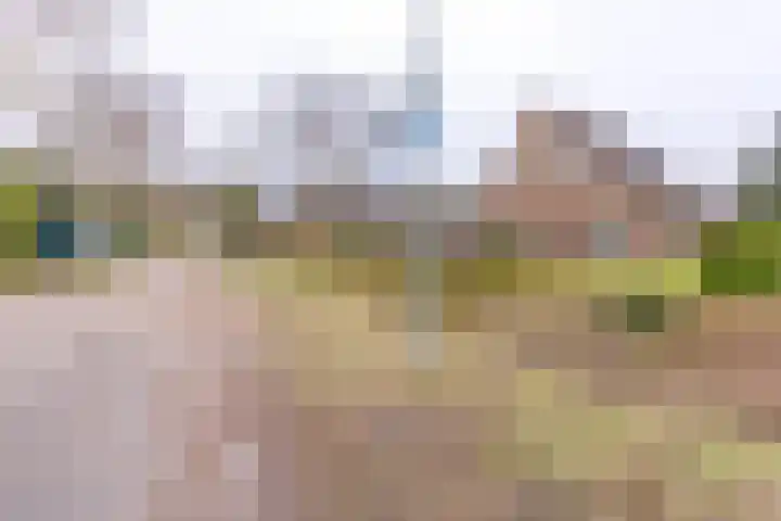 Kampweg 1 Sellingen thumbnail 6