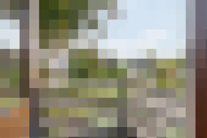 Kampweg 14 Beringe thumbnail 15