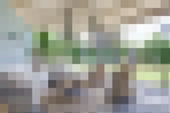 Kampweg 3 Beringe thumbnail 32