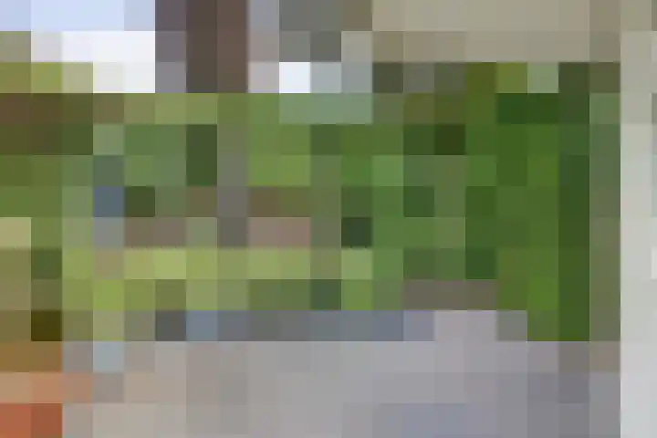 Kampweg 3 Beringe thumbnail 36
