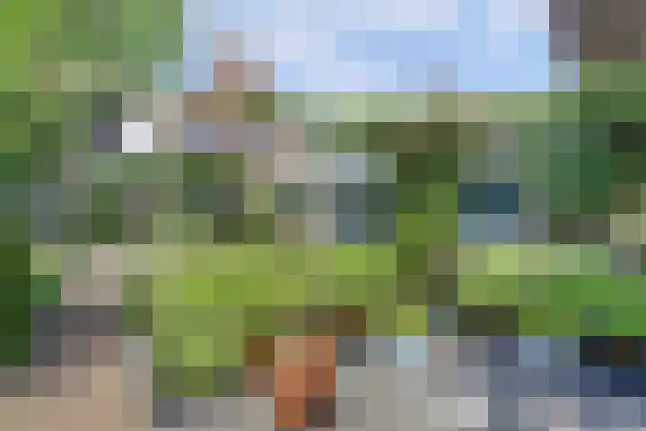 Kampweg 3 Beringe thumbnail 37