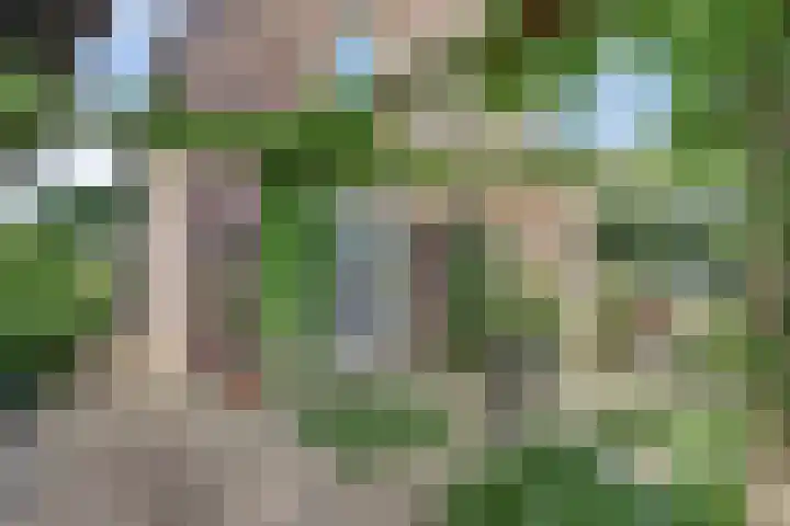 Kampweg 3 Beringe thumbnail 40