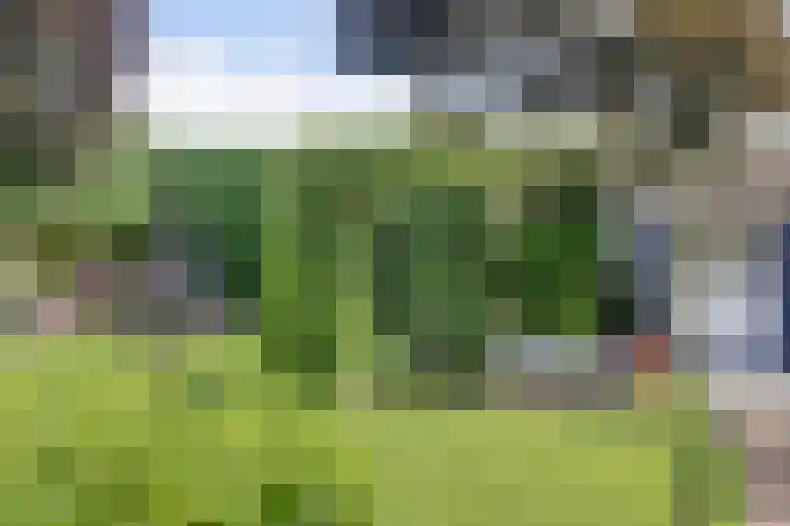 Kampweg 3 Beringe thumbnail 41