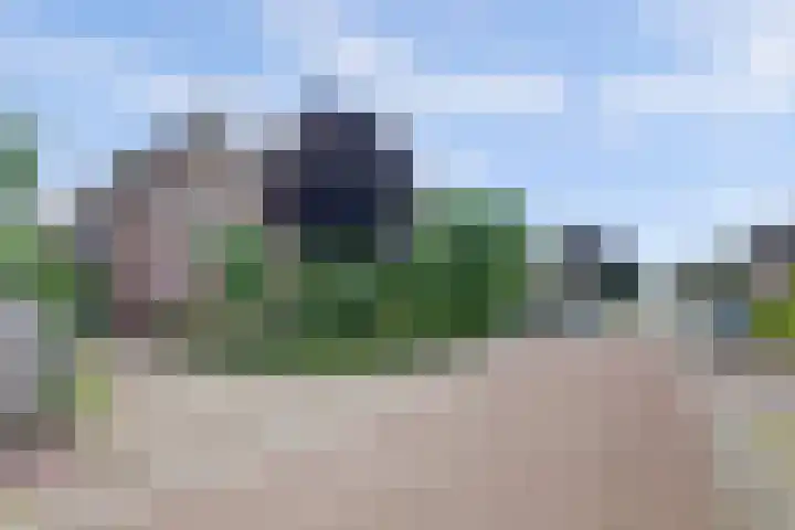 Kampweg 3 Beringe thumbnail 44