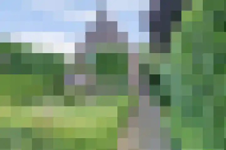 Kampweg 3 Beringe thumbnail 46