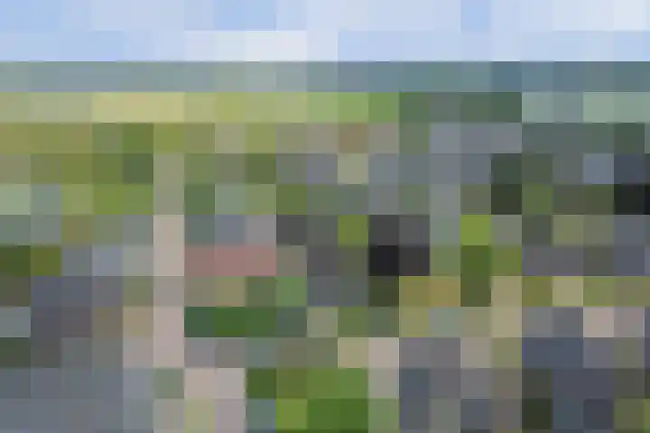 Kampweg 3 Beringe thumbnail 51