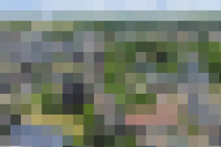 Kampweg 3 Beringe thumbnail 52