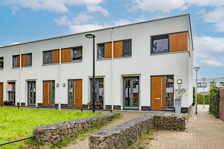 Kamsalamander 19 in Goirle foto