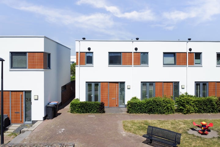 Kamsalamander 22 in Goirle foto