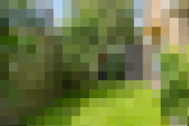 Kamstraat 17 Wolvega thumbnail 36