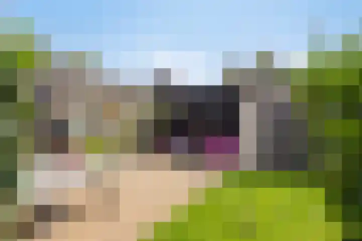 Kamstraat 17 Wolvega thumbnail 37