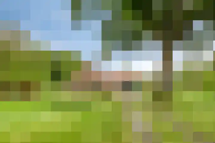 Kanaal O.Z. 9 en Tiendeveen