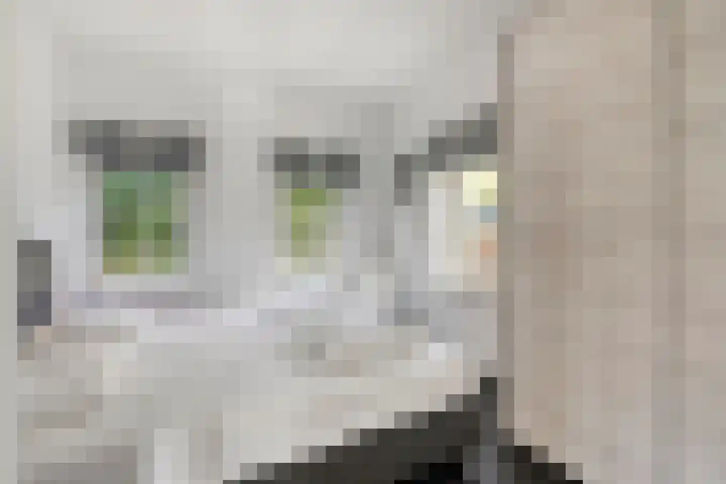Kanaaldijk 100 Ossenisse thumbnail 21