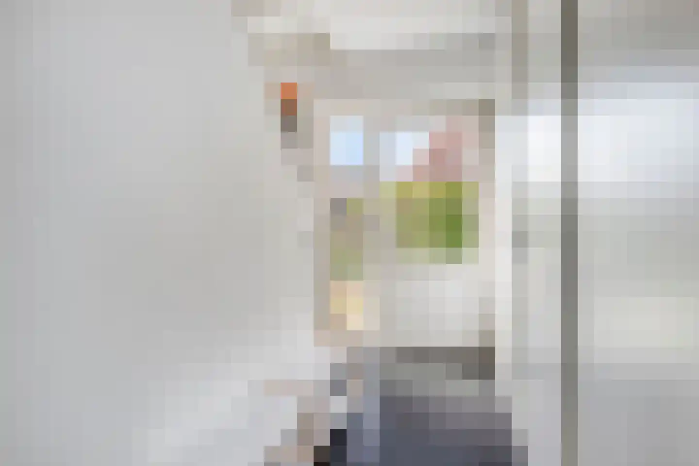 Kanaaldijk 100 Ossenisse foto 3