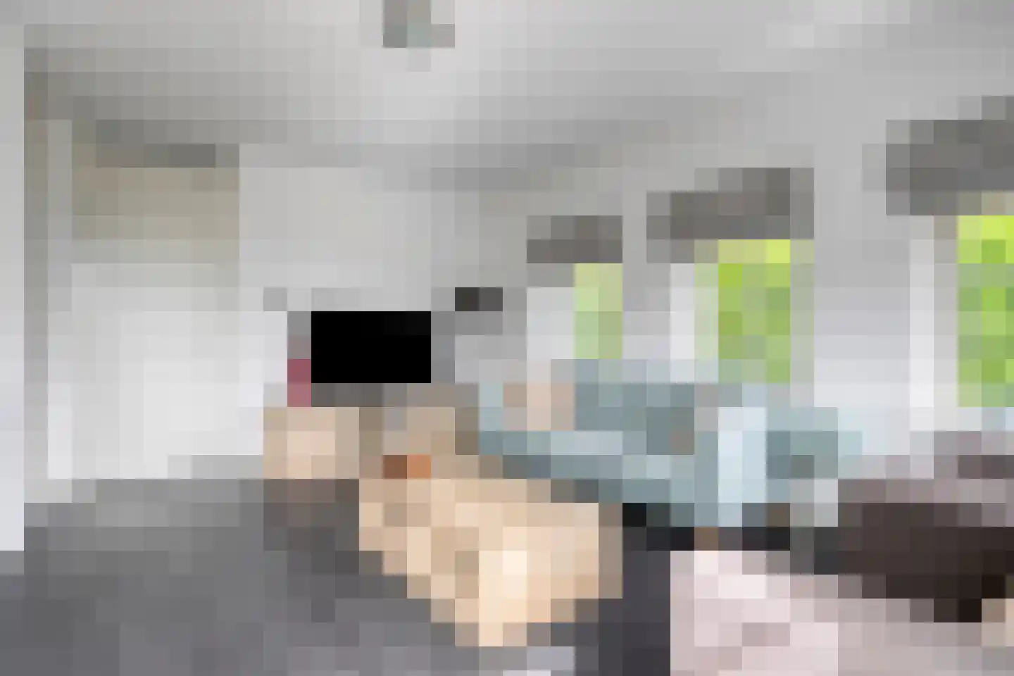 Kanaaldijk 100 Ossenisse thumbnail 6