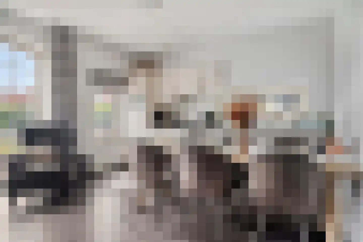Kanaaldijk 100 Ossenisse thumbnail 7