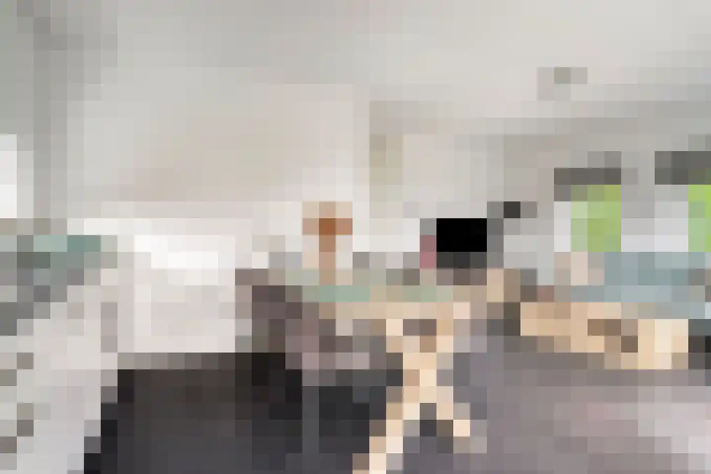 Kanaaldijk 100 Ossenisse thumbnail 9