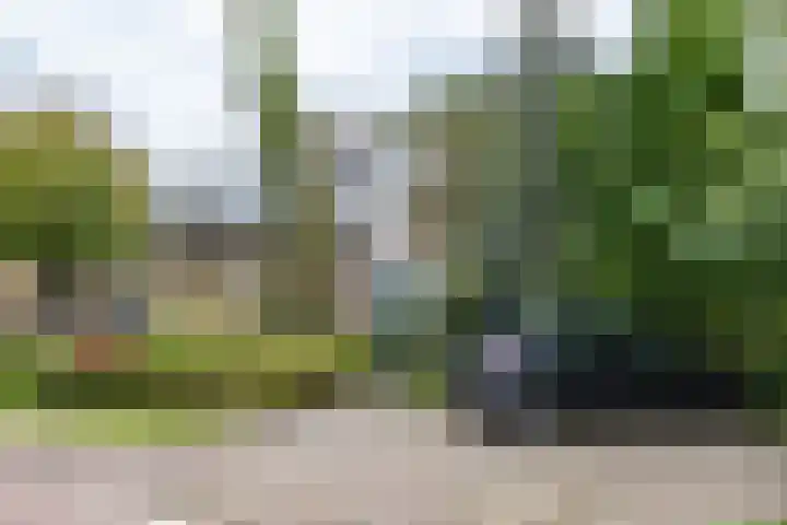 Kanaaldijk 24 in De Punt