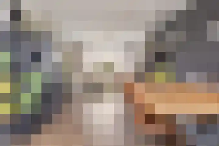 Kanaalkade 75 Axel thumbnail 12