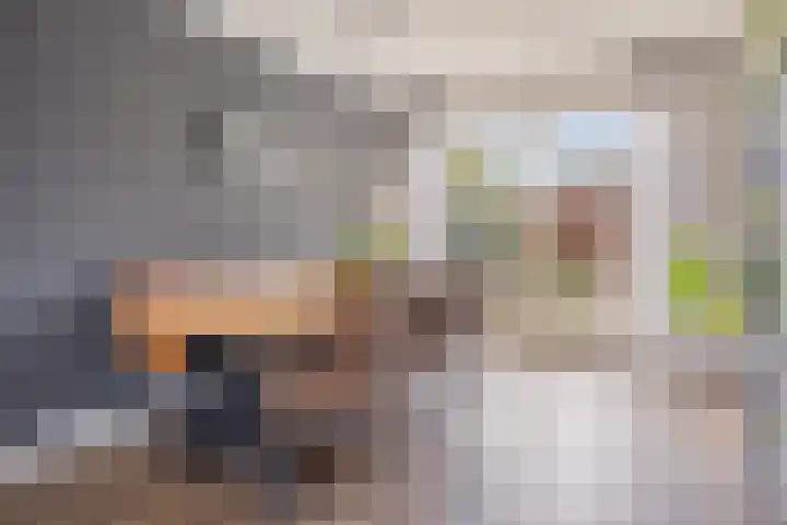 Kanaalkade 75 Axel thumbnail 14