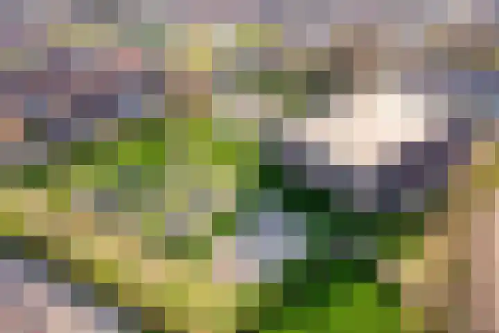 Kanaalkade 75 Axel thumbnail 47
