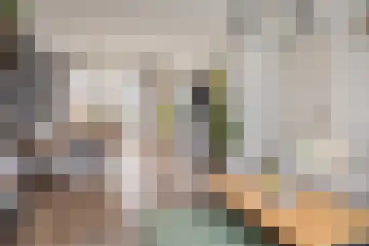 Kanaalkade 75 Axel thumbnail 9