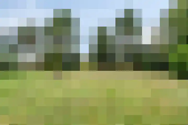Kanaalweg 76 Smilde thumbnail 53