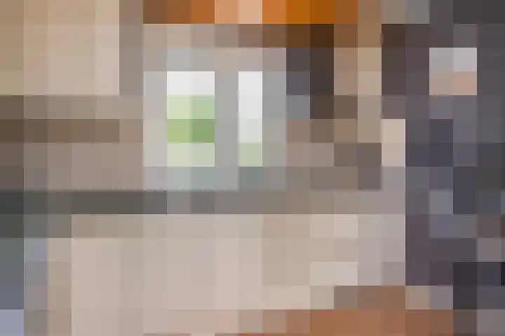 Kanariegeel 21 Zoetermeer thumbnail 10