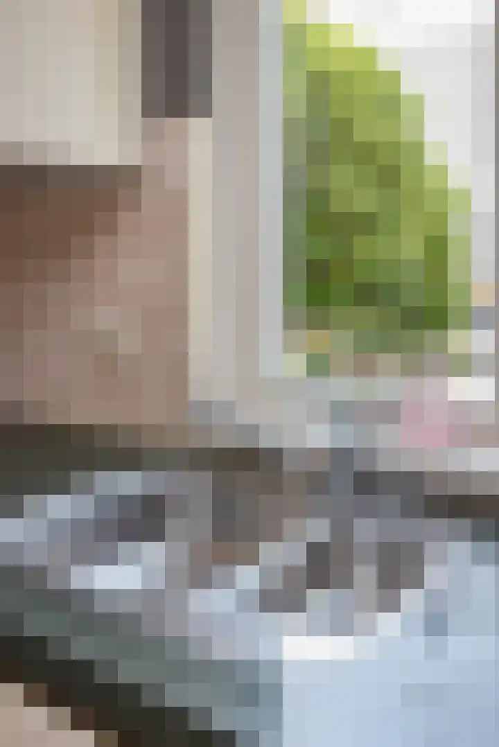 Kanariegeel 21 Zoetermeer thumbnail 11